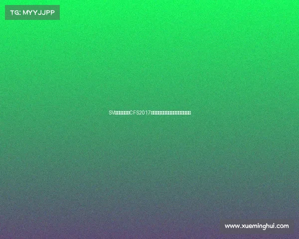 SV战队西安加冕CFS2017全球总冠军，勇者之心铸就电竞传奇